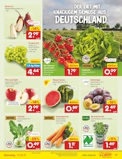 Aktueller Netto Marken-Discount Prospekt mit Äpfel, "Aktuelle Angebote", Seite 17