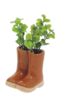 Succulente dans bottes en promo chez Bazarland Rillieux-la-Pape à 2,99 €