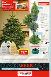 Pflanzen im Hellweg Prospekt Die Profi-Baumärkte auf S. 24