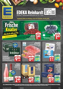 Kaffee im aktuellen EDEKA Prospekt (Gera) Kaffee im EDEKA Prospekt "Wir lieben Lebensmittel!" mit 28 Seiten (Gera)