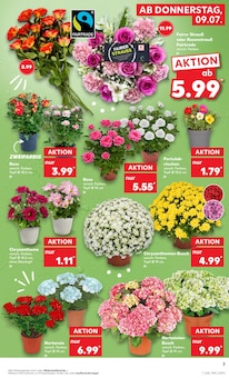 Blumen im aktuellen Kaufland Prospekt (Herne) Blumen im Kaufland Prospekt "Hier bin ich richtig" mit 61 Seiten (Herne)