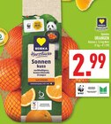 Sonnenkuss Orangen Angebot in Halle Sonnenkuss Orangen im aktuellen Prospekt bei Marktkauf in Halle