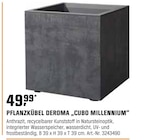 PFLANZKÜBEL DEROMA „CUBO MILLENNIUM“ Angebote bei OBI Bünde für 49,99 €