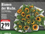 Sonnenblumen im Angebot bei EDEKA in Mülheim Sonnenblumen Angebote bei EDEKA Mülheim für 2,99 €
