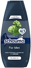 Shampoo im Angebot bei Penny in Wolfsburg Shampoo Angebote von Schauma bei Penny Wolfsburg für 2,99 €