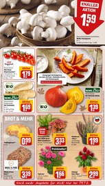 Blumentopf im REWE Prospekt in Bornheim Aktueller REWE Prospekt mit Blumentopf, "Dein Markt", Seite 15