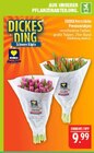 Premiumtulpen Angebote von EDEKA Herzstücke bei Marktkauf Görlitz für 9,99 €