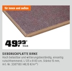 SIEBDRUCKPLATTE BIRKE im Angebot bei OBI in Kempten SIEBDRUCKPLATTE BIRKE Angebote bei OBI Kempten für 49,99 €