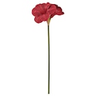 Kunstblume drinnen/draußen Amaryllis/rot im Angebot bei IKEA in Ratingen Kunstblume drinnen/draußen Amaryllis/rot Angebote von VINTERFINT bei IKEA Ratingen für 3,49 €