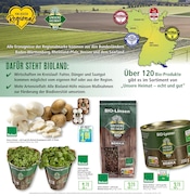 Aktueller Marktkauf Prospekt mit Pilze, "Aktuelle Angebote", Seite 9