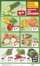 Aktueller combi Prospekt mit Paprika, "Markt - Angebote", Seite 3