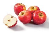 Lidl Nézignan-l'Évêque - Promo Pomme Bicolore Promo Pomme Bicolore à 1,49 € dans le catalogue Lidl à Nézignan-l'Évêque