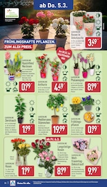 Hortensie im ALDI Nord Prospekt in Hoyerswerda Aktueller ALDI Nord Prospekt mit Hortensie, "LIEBLINGE UNSERER REGION", Seite 30