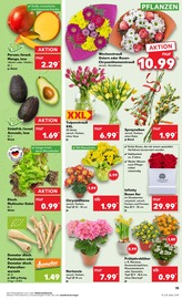 Aktueller Kaufland Prospekt mit Schnittblumen, "Aktuelle Angebote", Seite 23
