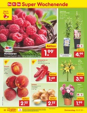 Dekoration im Netto Marken-Discount Prospekt in Hofheim Aktueller Netto Marken-Discount Prospekt mit Dekoration, "Aktuelle Angebote", Seite 52