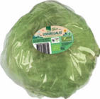 Bio Eisbergsalat Angebote bei aktiv & irma Oldenburg für 1,49 €