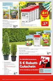 Aktueller Hellweg Prospekt mit Pflanzen, "Entscheiden Sie selbst", Seite 15