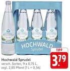 Sprudel Angebote von Hochwald bei E center Pirmasens für 3,79 €