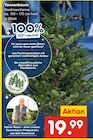Tannenbaum Angebote bei Netto Marken-Discount Düsseldorf für 19,99 €