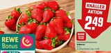 Erdbeeren im Angebot bei REWE in Detmold Erdbeeren Angebote von REWE Beste Wahl bei REWE Detmold für 2,49 €