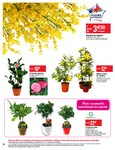 Le Pain Des Fleurs Le Pain Des Fleurs