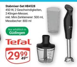 Stabmixer-Set HB4528 Angebote von Tefal bei GLOBUS Saarbrücken für 29,99 €