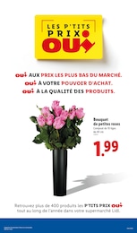 Prix et réduction Roses dans le prospectus Lidl en cours Offre Roses dans le catalogue Lidl du moment à la page 34