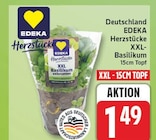 XXL-Basilikum von EDEKA Herzstücke im aktuellen EDEKA Prospekt