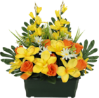 Bazarland Latour-Bas-Elne - Promo Jardinière boutons de rose, orchidées et glaïeuls Promo Jardinière boutons de rose, orchidées et glaïeuls à 24,99 € dans le catalogue Bazarland à Latour-Bas-Elne