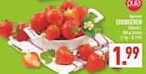 Erdbeeren Angebote von pura bei Marktkauf Dülmen für 1,99 €