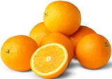 Oranges Angebot in Dittelsheim-Heßloch Oranges im aktuellen Prospekt bei Penny in Dittelsheim-Heßloch