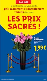 Prix et réduction Fleurs dans le prospectus Lidl en cours Offre Fleurs dans le catalogue Lidl du moment à la page 29