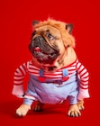 Costume Chucky à 7,90 € dans le catalogue Gifi