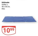 Aktuelles Kühlmatte Angebot bei GLOBUS in Braunschweig ab 10,99 €