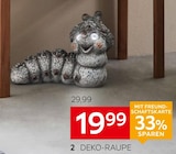 Deko-Raupe von  im aktuellen XXXLutz Möbelhäuser Prospekt für 19,99 €