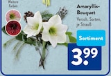 Amaryllis-Bouquet im aktuellen ALDI SÜD Prospekt