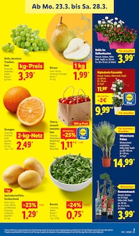 Tomaten im Lidl Prospekt "LIDL LOHNT SICH" mit 74 Seiten (München)