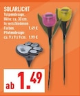 Solarlicht Tulpendesign im Angebot bei Marktkauf in Ibbenbüren Solarlicht Tulpendesign Angebote bei Marktkauf Ibbenbüren für 1,49 €