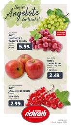 REWE Prospekt für Bergheim mit 22 Seiten REWE Prospekt für Bergheim: "Dein Markt", 22 Seiten, 03.08.2026 - 08.08.2026