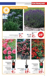 Offre Lavande dans le catalogue Super U du moment à la page 3