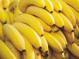 Bananes à Norma dans Salmbach