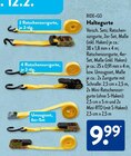 Ratschenzurrgurte von RIDE+GO im aktuellen ALDI SÜD Prospekt