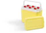 Mini Kühlbox Angebote von Living & Garden bei Netto Marken-Discount Halle für 9,99 €