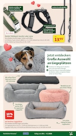 Aktueller Fressnapf Prospekt mit Bett, "Liebe hat vier Pfoten", Seite 11