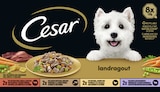 Rossmann Neunkirchen - App-Coupon Angebot im Prospekt App-Coupon bei Rossmann im Neunkirchen Prospekt für