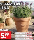 Pflanztopf Siena im Angebot bei Wreesmann in Freiberg Pflanztopf Siena Angebote bei Wreesmann Freiberg für 5,99 €