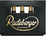 Aktuelles Pilsner Angebot bei Netto mit dem Scottie in Kiel ab 10,49 €