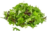 Bio Crispy Salatmix im Angebot bei REWE in Saarbrücken Bio Crispy Salatmix Angebote von REWE Bio bei REWE Saarbrücken für 0,99 €