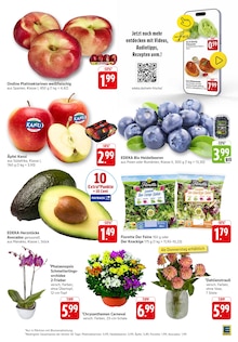 Blumen im EDEKA Prospekt "Aktuelle Angebote" mit 36 Seiten (Karlsruhe)