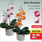 Deko-Orchidee im Angebot bei Zimmermann in Hildesheim Deko-Orchidee Angebote bei Zimmermann Hildesheim für 2,99 €